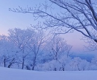 吉林长春字母圈吉林延边四平通化白城绳艺KBSP爱好者社群